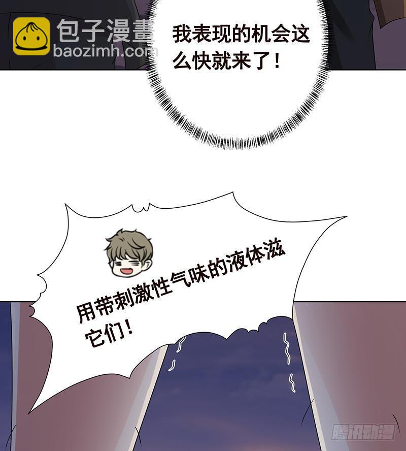 末世恋爱法则韩漫全集-第255话 长青，我们去杀了它无删减无遮挡章节图片 
