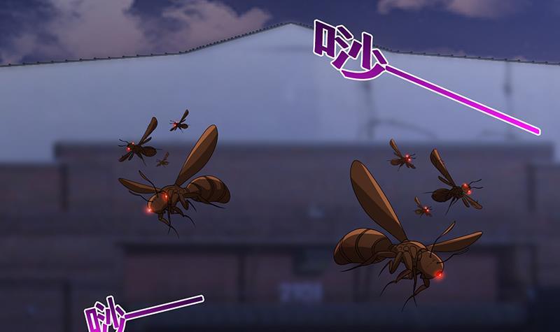末世恋爱法则韩漫全集-第260话 各个击破无删减无遮挡章节图片 