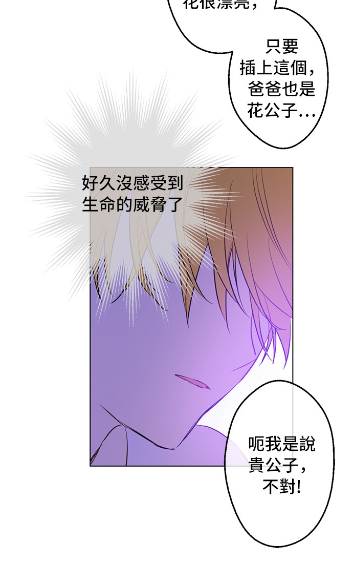 某天成为公主韩漫全集-第38话 你说谁更高？无删减无遮挡章节图片 