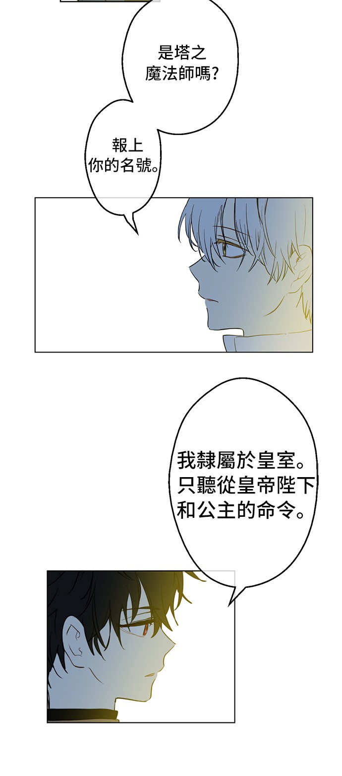 某天成为公主韩漫全集-第39话 敌人？朋友？无删减无遮挡章节图片 