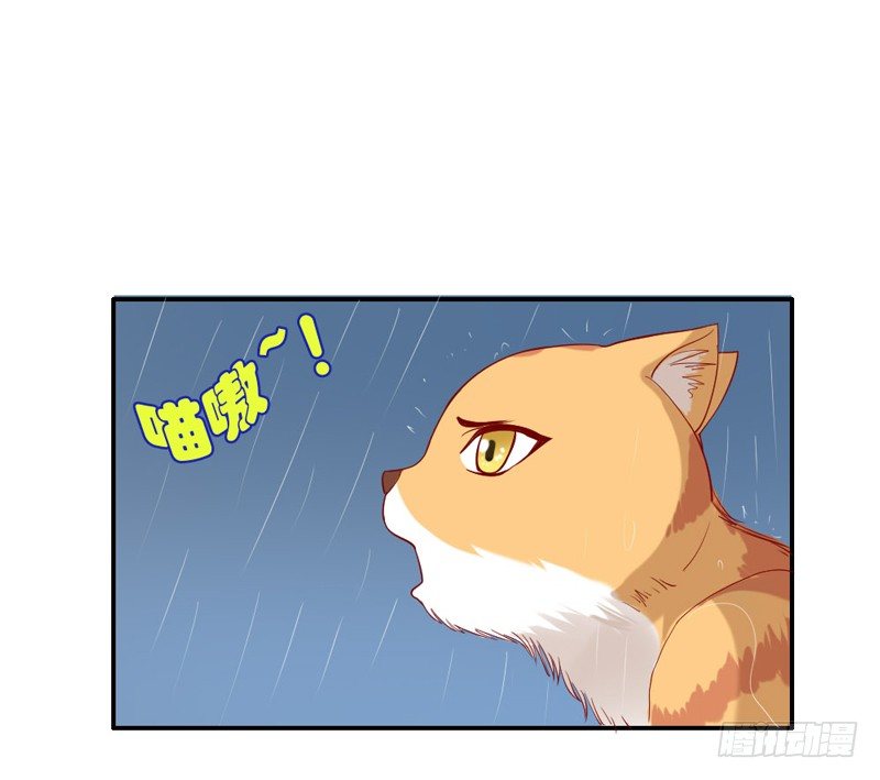 魔王大人请慢走韩漫全集-浪漫雨夜温柔的你无删减无遮挡章节图片 