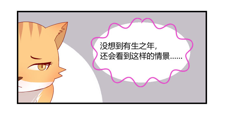 魔王大人请慢走韩漫全集-陛下，您还记得微臣吗？无删减无遮挡章节图片 