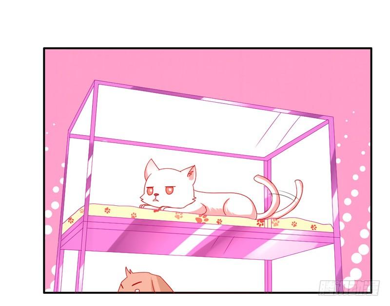 魔王大人请慢走韩漫全集-十个橘猫九个胖无删减无遮挡章节图片 