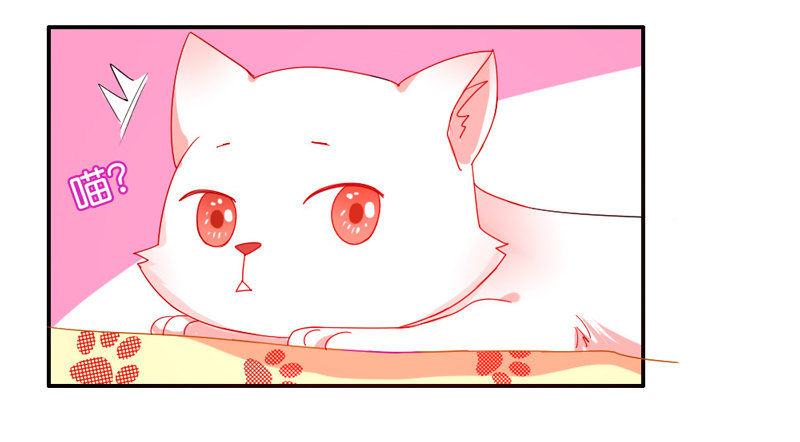 魔王大人请慢走韩漫全集-十个橘猫九个胖无删减无遮挡章节图片 