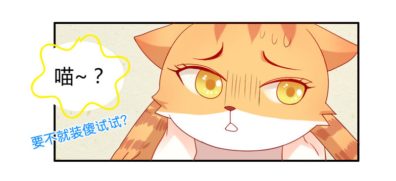 魔王大人请慢走韩漫全集-十个橘猫九个胖无删减无遮挡章节图片 
