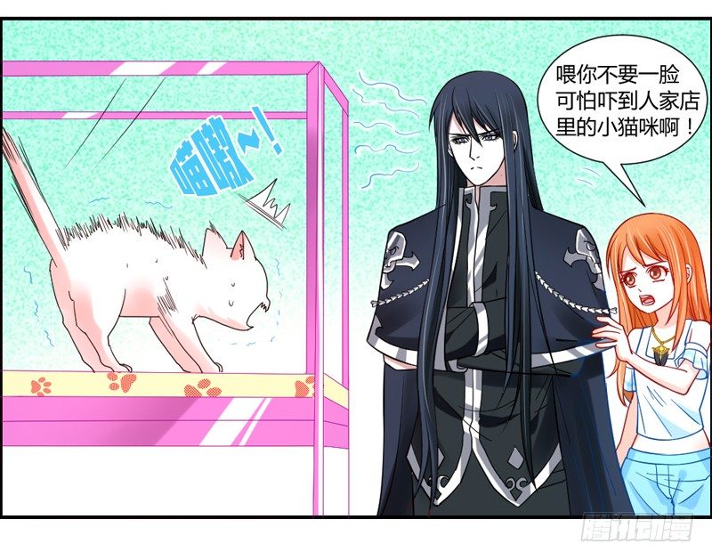 魔王大人请慢走韩漫全集-十个橘猫九个胖无删减无遮挡章节图片 