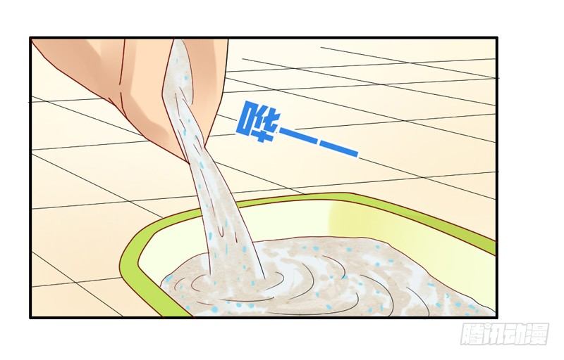 魔王大人请慢走韩漫全集-十个橘猫九个胖无删减无遮挡章节图片 