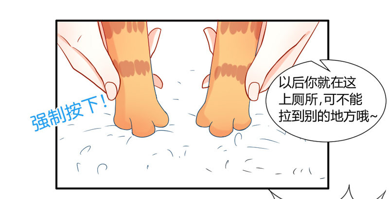 魔王大人请慢走韩漫全集-十个橘猫九个胖无删减无遮挡章节图片 