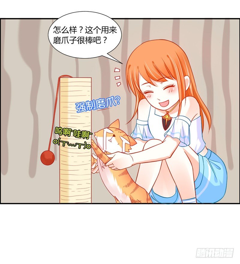 魔王大人请慢走韩漫全集-十个橘猫九个胖无删减无遮挡章节图片 
