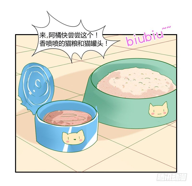 魔王大人请慢走韩漫全集-十个橘猫九个胖无删减无遮挡章节图片 