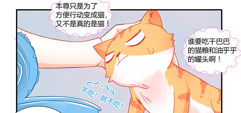 魔王大人请慢走韩漫全集-十个橘猫九个胖无删减无遮挡章节图片 