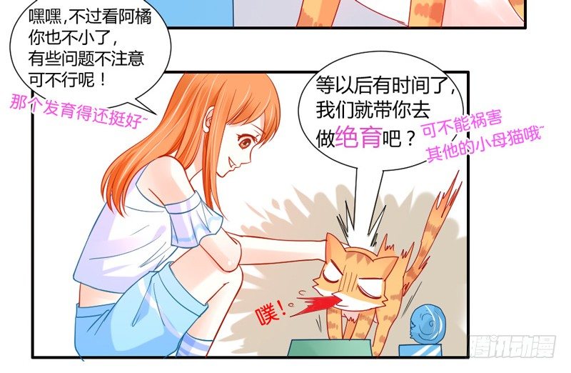 魔王大人请慢走韩漫全集-十个橘猫九个胖无删减无遮挡章节图片 