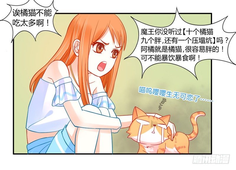 魔王大人请慢走韩漫全集-十个橘猫九个胖无删减无遮挡章节图片 