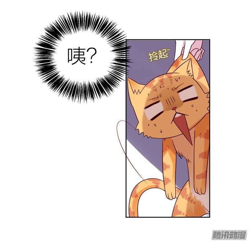 魔王大人请慢走韩漫全集-本王，定要将她抢回来！无删减无遮挡章节图片 