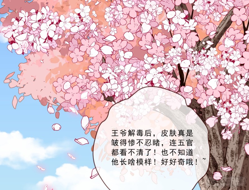 万渣朝凰韩漫全集-疑似故人来无删减无遮挡章节图片 