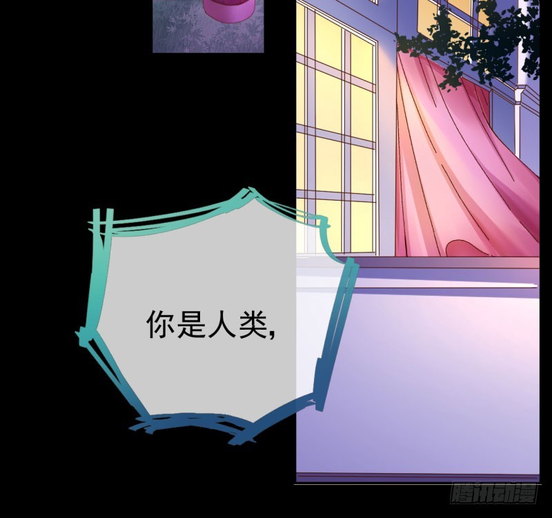 万渣朝凰韩漫全集-红颜未老恩先绝无删减无遮挡章节图片 