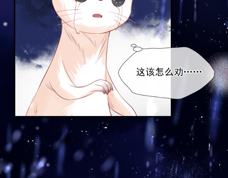 魔尊要抱抱韩漫全集-第7话 心碎无删减无遮挡章节图片 