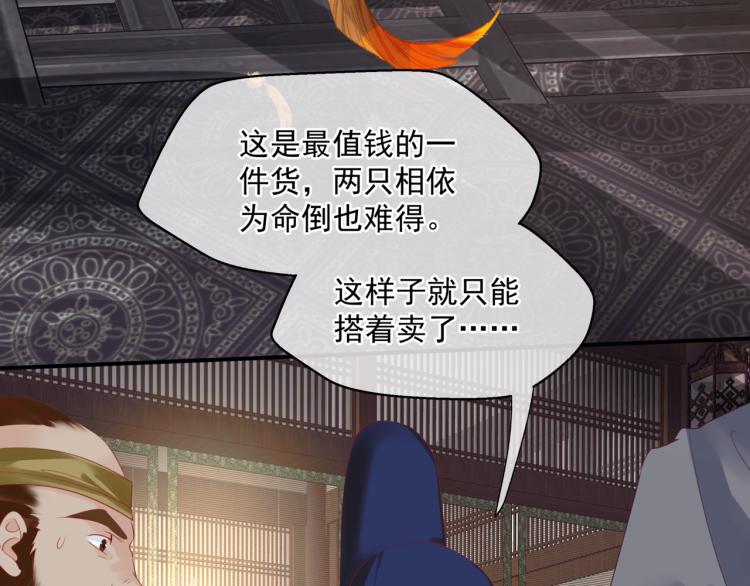 魔尊要抱抱韩漫全集-第15话 地下拍卖场无删减无遮挡章节图片 