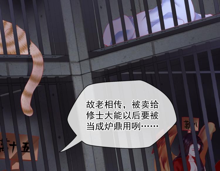 魔尊要抱抱韩漫全集-第15话 地下拍卖场无删减无遮挡章节图片 