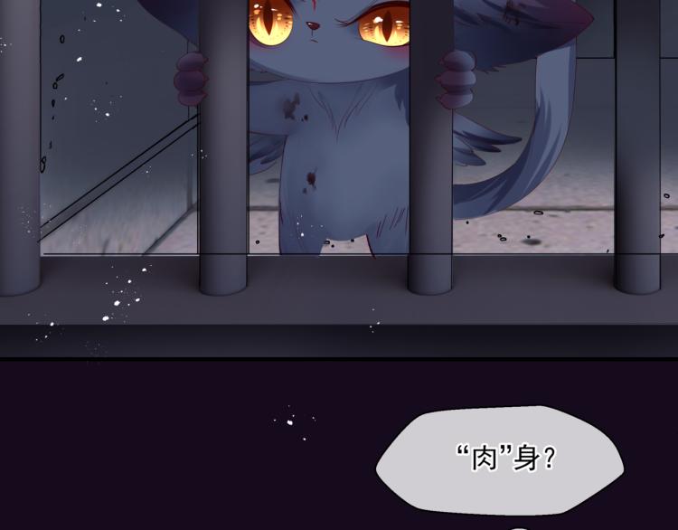 魔尊要抱抱韩漫全集-第15话 地下拍卖场无删减无遮挡章节图片 