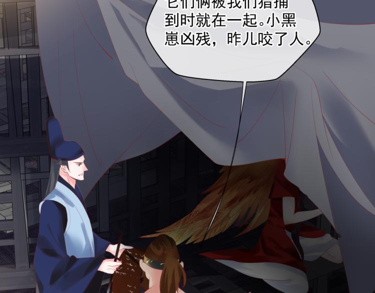 魔尊要抱抱韩漫全集-第15话 地下拍卖场无删减无遮挡章节图片 