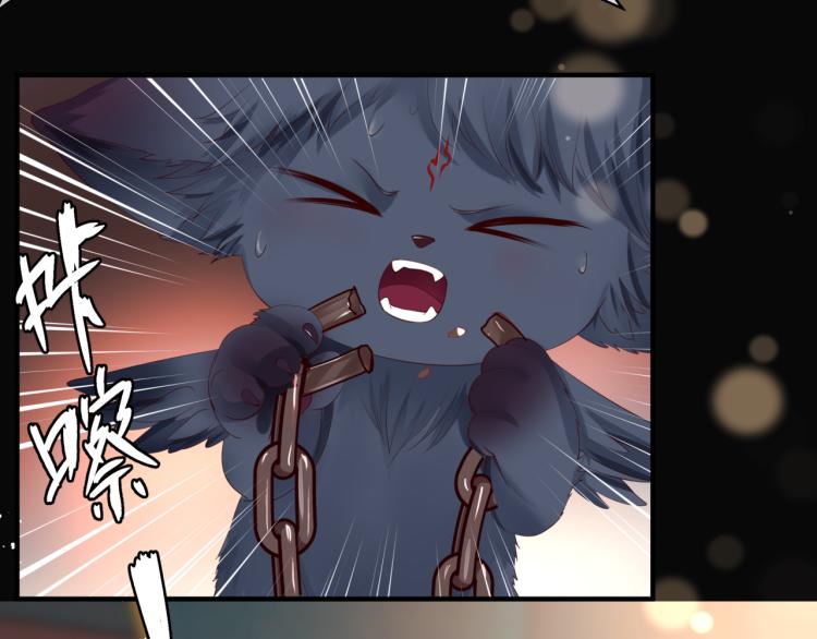 魔尊要抱抱韩漫全集-第15话 地下拍卖场无删减无遮挡章节图片 