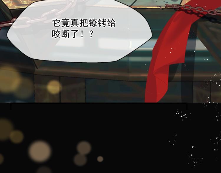 魔尊要抱抱韩漫全集-第15话 地下拍卖场无删减无遮挡章节图片 