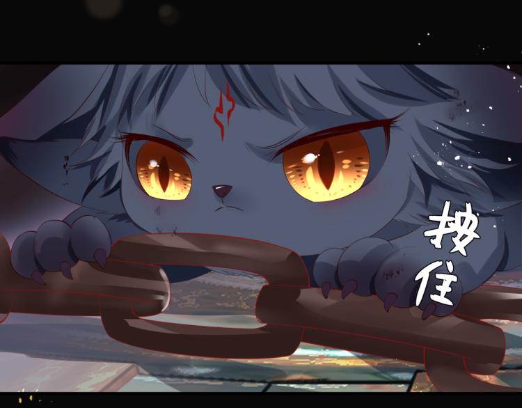 魔尊要抱抱韩漫全集-第15话 地下拍卖场无删减无遮挡章节图片 