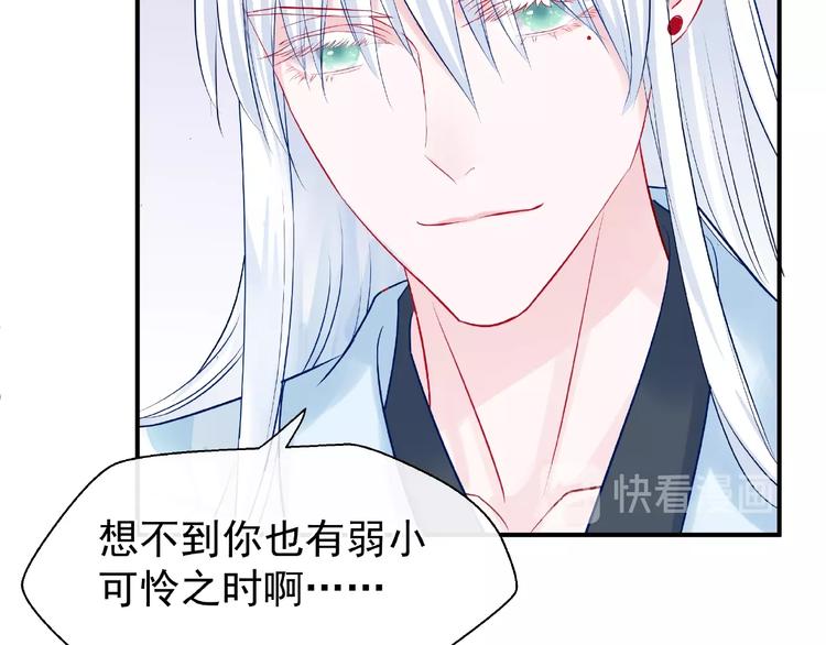 魔尊要抱抱韩漫全集-第19话 变成萌宠？无删减无遮挡章节图片 