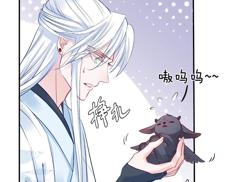 魔尊要抱抱韩漫全集-第19话 变成萌宠？无删减无遮挡章节图片 