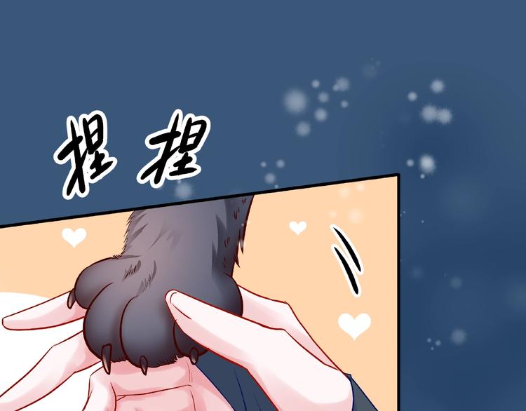 魔尊要抱抱韩漫全集-第21话 我才不想做萌宠无删减无遮挡章节图片 