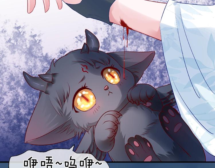 魔尊要抱抱韩漫全集-第21话 我才不想做萌宠无删减无遮挡章节图片 