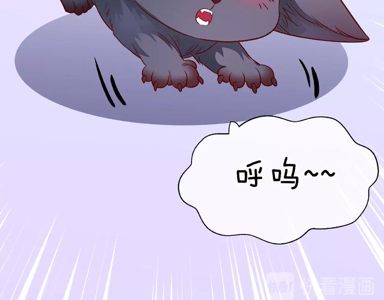 魔尊要抱抱韩漫全集-第21话 我才不想做萌宠无删减无遮挡章节图片 