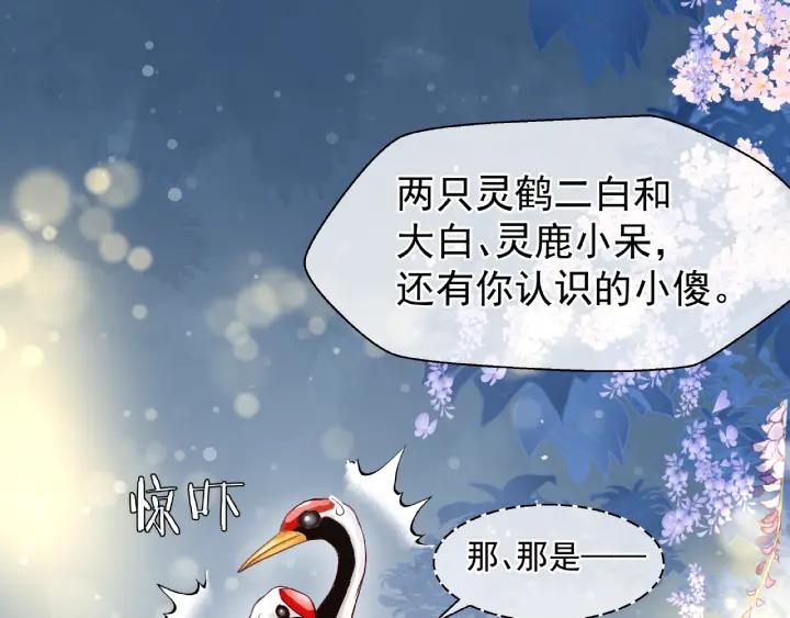 魔尊要抱抱韩漫全集-第33话 上元节无删减无遮挡章节图片 