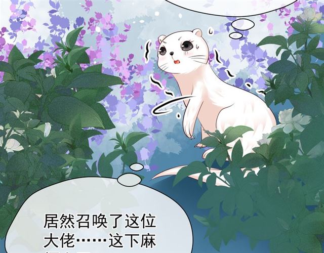 魔尊要抱抱韩漫全集-第40话 两只凶兽无删减无遮挡章节图片 