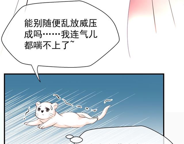 魔尊要抱抱韩漫全集-第40话 两只凶兽无删减无遮挡章节图片 