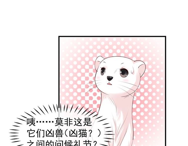 魔尊要抱抱韩漫全集-第40话 两只凶兽无删减无遮挡章节图片 