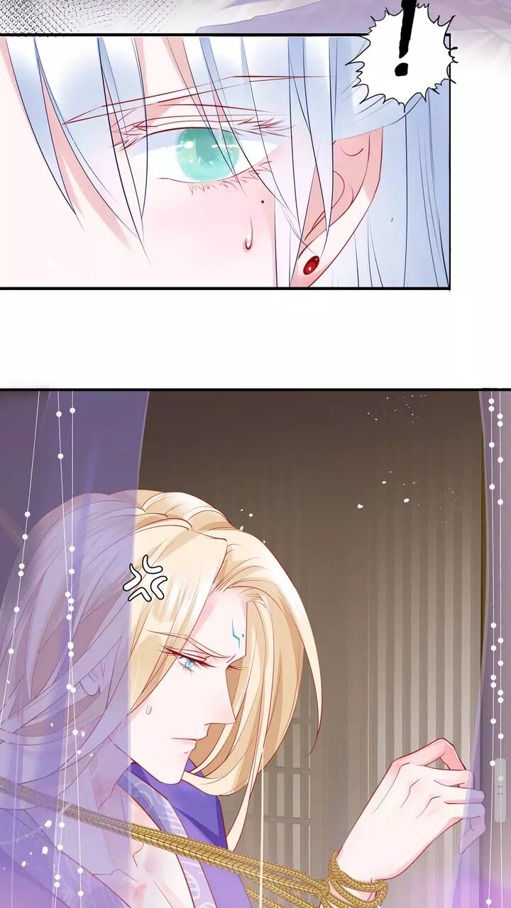 魔尊要抱抱韩漫全集-第71话 唯独亏欠你一人无删减无遮挡章节图片 