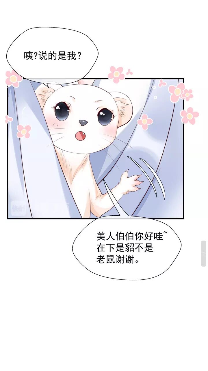 魔尊要抱抱韩漫全集-第71话 唯独亏欠你一人无删减无遮挡章节图片 