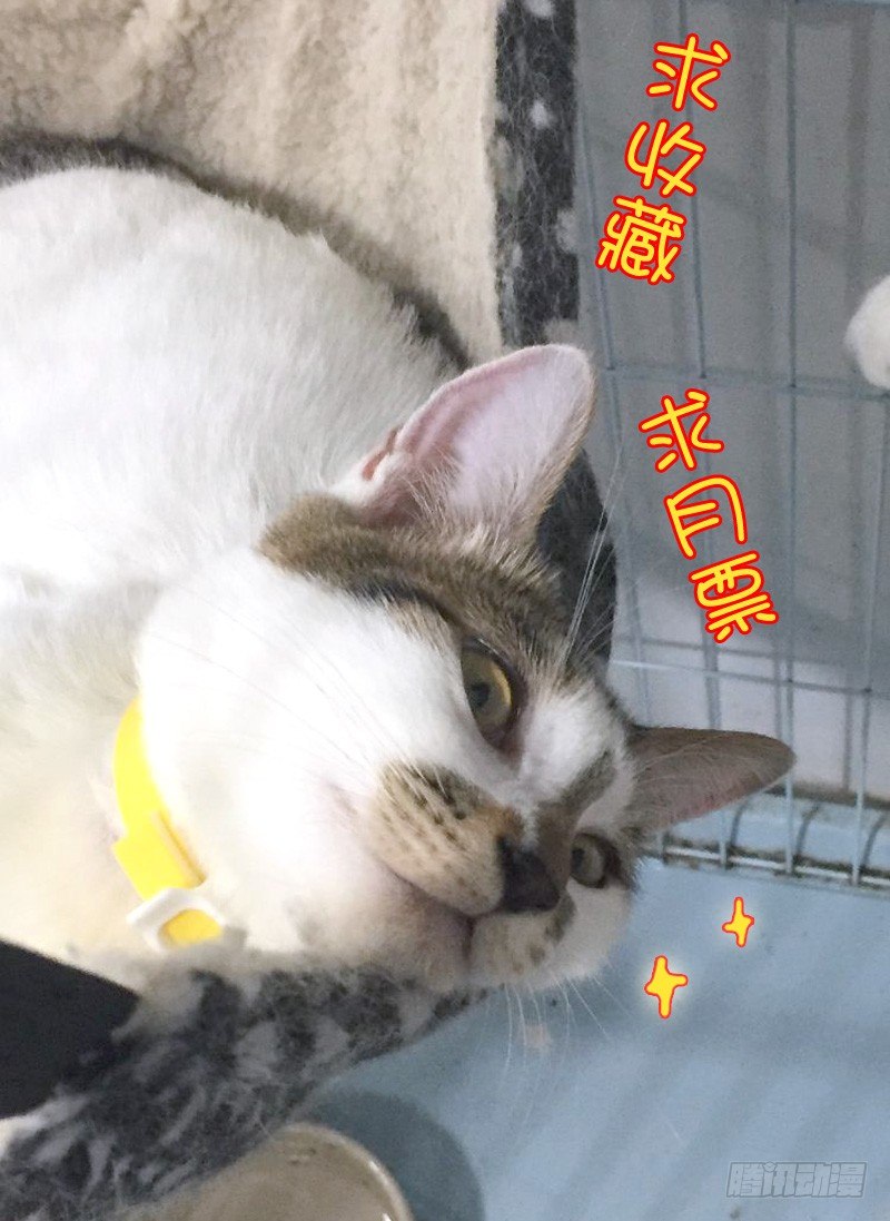 木兰无长兄韩漫全集-46第一位火伴（四）无删减无遮挡章节图片 
