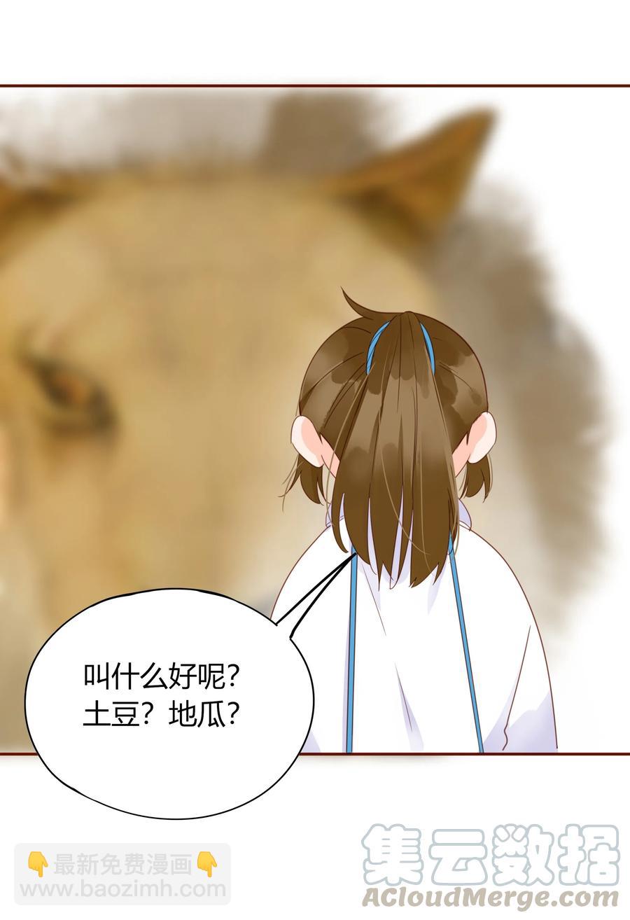 男配生存攻略韩漫全集-058 一见钟情无删减无遮挡章节图片 