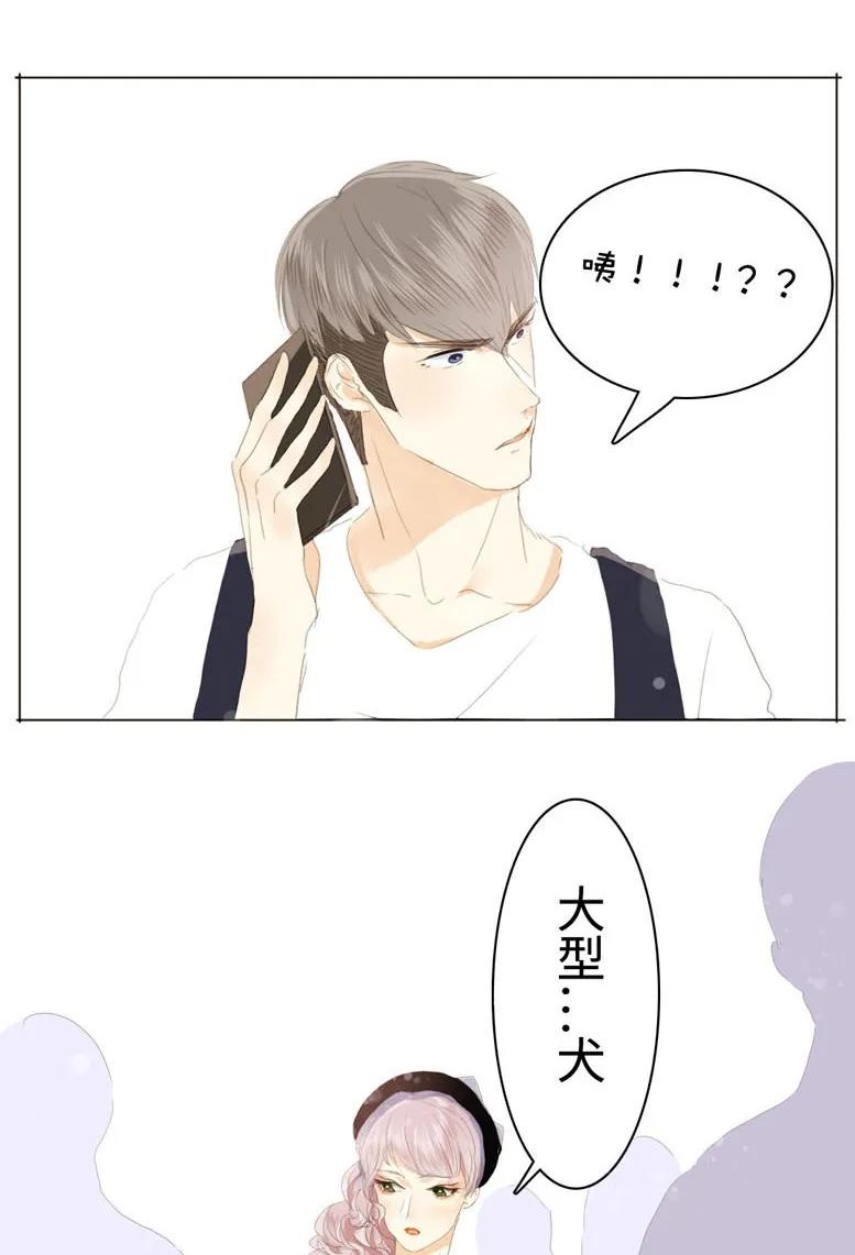 男装店与“公主殿下”韩漫全集-037 大型忠犬无删减无遮挡章节图片 