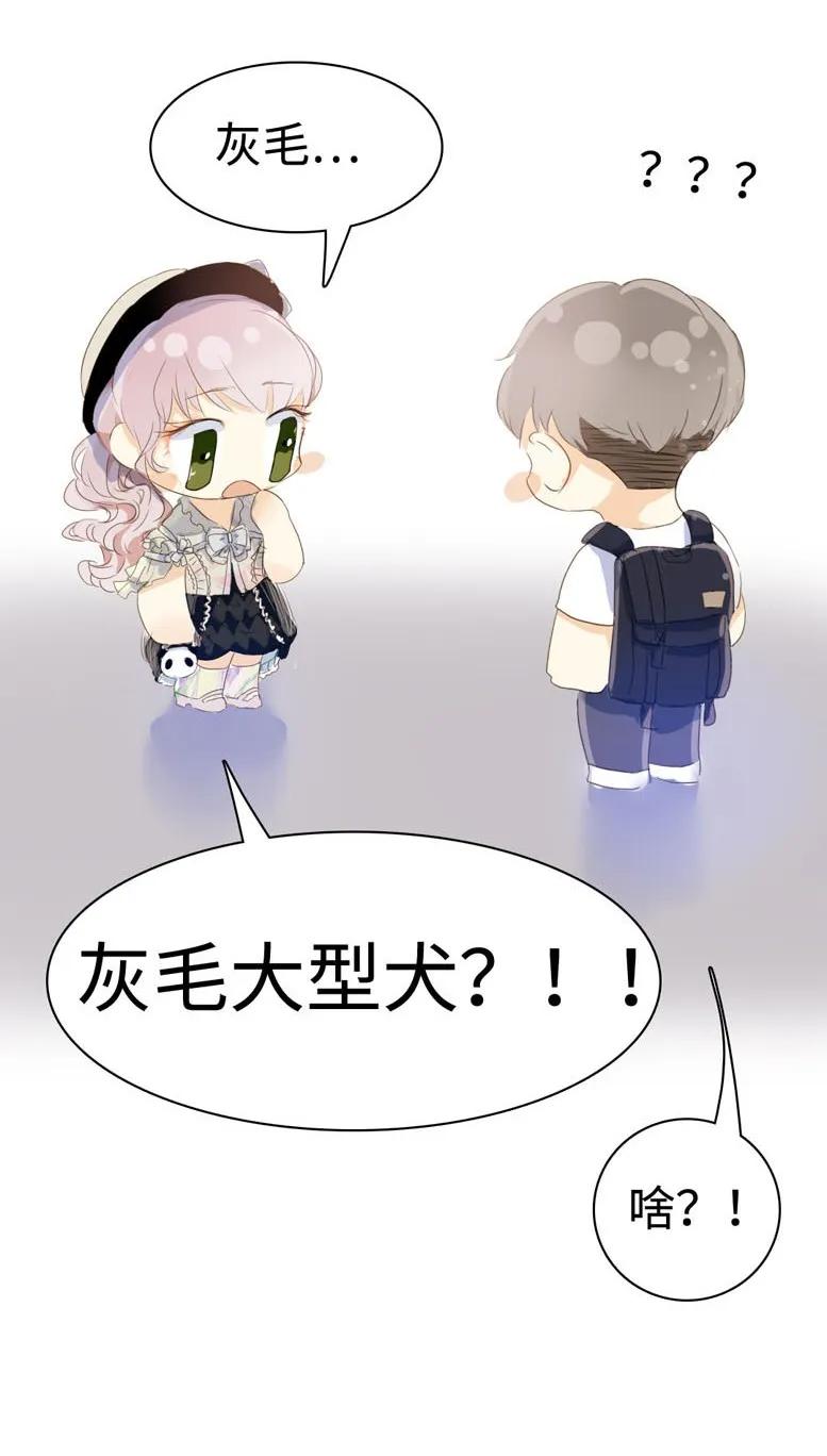 男装店与“公主殿下”韩漫全集-037 大型忠犬无删减无遮挡章节图片 