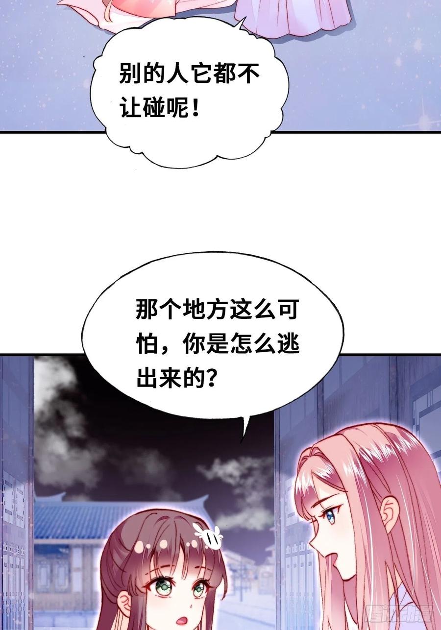 你马甲掉了，幽皇陛下韩漫全集-46、蓝姑娘与阮公子无删减无遮挡章节图片 