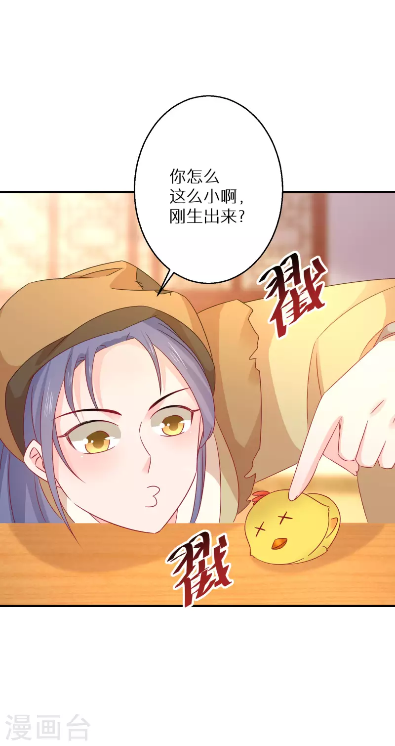 逆天毒妃韩漫全集-第179-180话 酒楼捉奸无删减无遮挡章节图片 