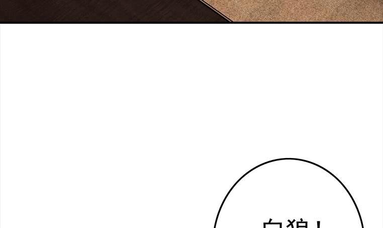 逆战超能白狼韩漫全集-第173话 打脸付尔戴无删减无遮挡章节图片 