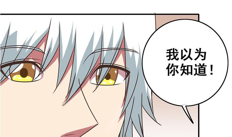 逆战超能白狼韩漫全集-第49话 美女左拥右抱的感觉很爽？无删减无遮挡章节图片 