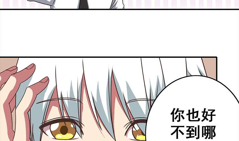 逆战超能白狼韩漫全集-第49话 美女左拥右抱的感觉很爽？无删减无遮挡章节图片 