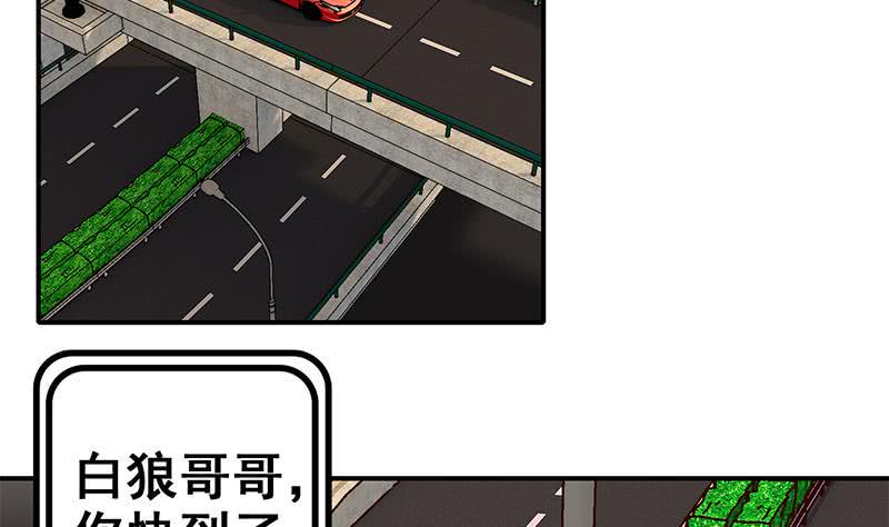 逆战超能白狼韩漫全集-第51话 苏喵被非礼无删减无遮挡章节图片 