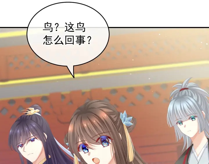 女帝多蓝颜韩漫全集-第154话 我舍不得你无删减无遮挡章节图片 